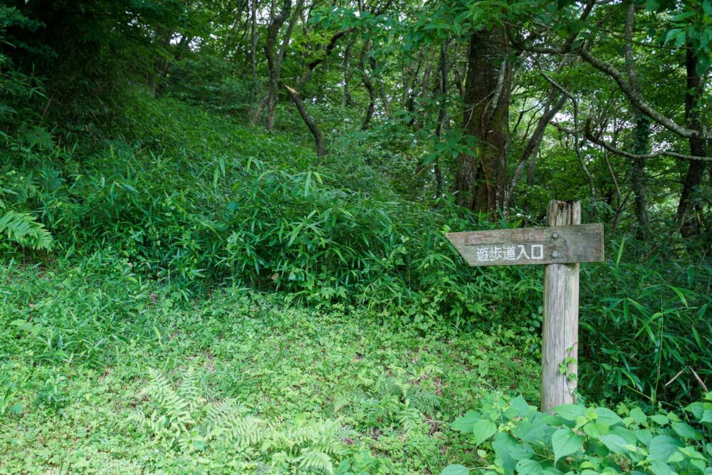 伏馬山 遊歩道入口